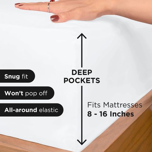 Royale Linens Fitted Sheet Queen - Ultra Soft 1800 Brushed Microfiber - Hotel Luxury Bottom Sheets - Wrinkle Free & Fade Resistant - Deep Pocket Fitted Sheet Only (Queen, White)