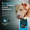 VetriScience Veterinary Strength Calm & Confident Chews - Stress Supplement for Pets - Supports Brain Function for Cats & Dogs - with L-Theanine, Thiamine & More - 60 Count