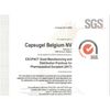 DR T&T Acid Resistant delay Release Vegetarian Based DRcaps® Capsules Capsule size4 Size 4 Clear (100)
