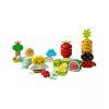 DUPLO My First Organic Garden
