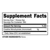 PrimaForce Creatine Monohydrate Supplement – 1.5 KG - Micronized Powder