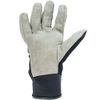 Cressi Tropical Neoprene Diving Gloves - Black, Small