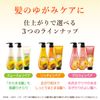Diaborte Oil In Conditioner (Smooth & Repair) Pump Treatment, 17.6 oz (500 g) (x1)