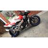 Tuono V2 1000 Gen 2 Italian Flag Belly pan Graphics Set