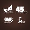 Gallbladder Formula | 100 Capsules | Non-GMO Supplement | by Piping Rock