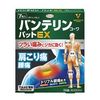 【第2類医薬品】バンテリンコーワパットEX 7枚×5
