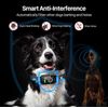 Dog Bark Collar, DINJOO Bark Collar for Large Medium Small Dogs Black