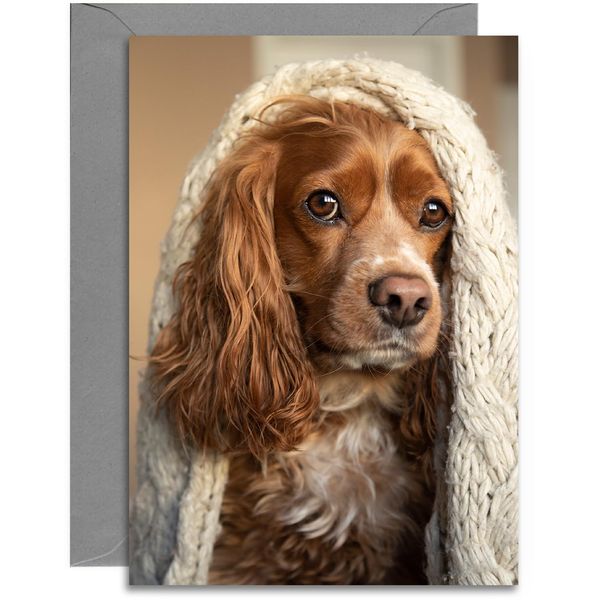 Cocker Spaniel Greeting Card - Medium Sized Card (A5 Size -148mm x 210mm) with Grey Envelope