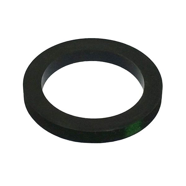 Banjo 200GV 2" FKM Gasket