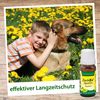 cdVet ZeckEx SpotOn 10 ml