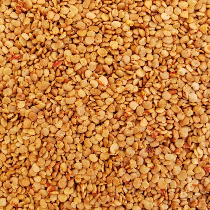 100 Lycium Barbarum GOJI BERRY SEEDS WOLFBERRY Super Fruit Nutritious ...