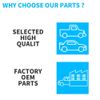 South Mud Bay Interior Screw, No Washer Head, 10 Pack
