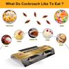 5PCS Roach Traps Pest Control Cockroach Pest Killer Indoor Bait Glue Trap Spide