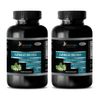 brain booster - GINKGO BILOBA EXTRACT 120mg - memory supplement - 2 Bottles