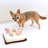iDog Educational Toy Chin Anago Eye Dog