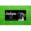 Pet Stone Memorial Grave Marker granite Plaque Human headstone Cocker Spaniel