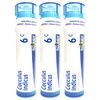 Boiron Cocculus Indicus 6C Homeopathic Medicine for Motion Sickness - 80 Count (Pack of 1)