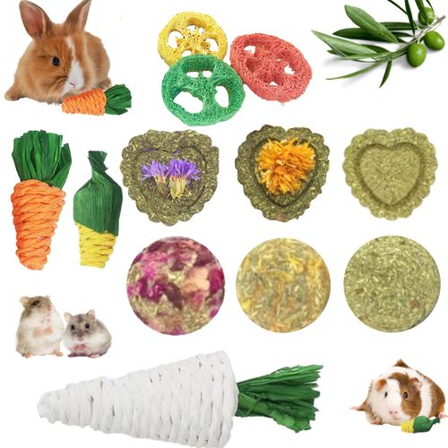 Lacrima Rabbit Chew Toys 12PCS, Guinea Pig Toys, Bunny Toys for Teeth, Chew Toys and Treats for Hamster Chinchilla, Small Animal Teeth Care