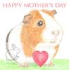 Gilbert the Guinea Pig - Mother's Day Card