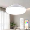 LED Ceiling Light, 6 Tatami Mat, Dimmable, Smart Ceiling Light, 10W, Equivalent to 100W, Ceiling Light, Dimmable Remote Control, Brightness Adjustment, App Operation, Bluetooth Compatible, Ceiling