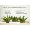 Clinique ALOE BODY BALM 3.4 oz - NEW