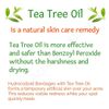 5pk [200] Tea Tree Acne Dot Pimple Patches [8mm SMALL] Hydrocolloid Spot Patch