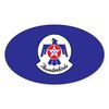 CafePress U.S. Air Force Thunderbirds Oval Car Bumper Sticker(10-Pack)