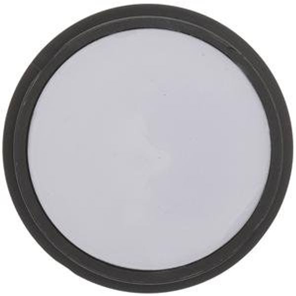 SBC Concealer Compact Lilac