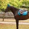 Collegiate Anatomic Girth, Brown, 125cm/50"