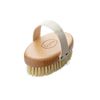 Gute Professional Dry Brush, Dry Skin Body Brush, Dry Brush with Cactus/Vegetable Bristles (Firm/Extra Firm Bristles)