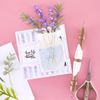Spellbinders Mason Jar and Lavender, Metal, ONE