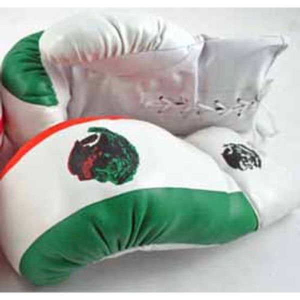 Shelter 1 Pair of Adult 16oz Boxing Gloves Mexico Flag Boxer