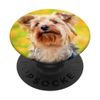 Yorkie Puppy Dog Brown PopSockets Swappable PopGrip