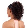 Freetress Equal Synthetic Drawstring Ponytail - Divine Girl-P4/27