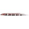 Fish Arrow F.A. Flash J Cirrus 3 SW #125 Clear Red Glitter / S