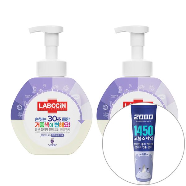 Labsin Color Changing Foaming Hand Wash Grape Flavor 500ml × 2p + 2080 Junior 1450 High Fluoride Toothpaste 50g