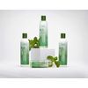 EDEN Bodyworks Peppermint Tea Tree Conditioner - 235ml