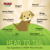 NOW Pets G.I. Support Chewable Tablets for Dogs and Cats 90 Count