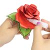 Friendship Flowers Craft Set