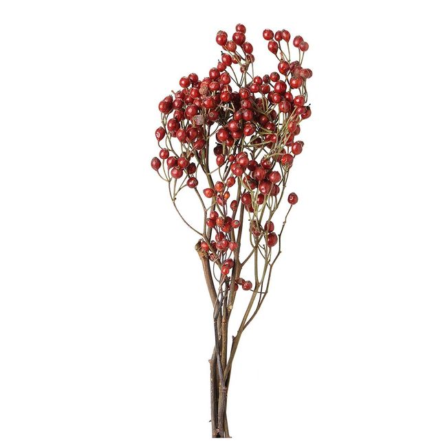 Tokyodo DN120015-zzz Dried Flowers, Wind Flowers, Rose Seeds, Red, Length Approx. 11.8 - 15.7 inches (30 - 40 cm)