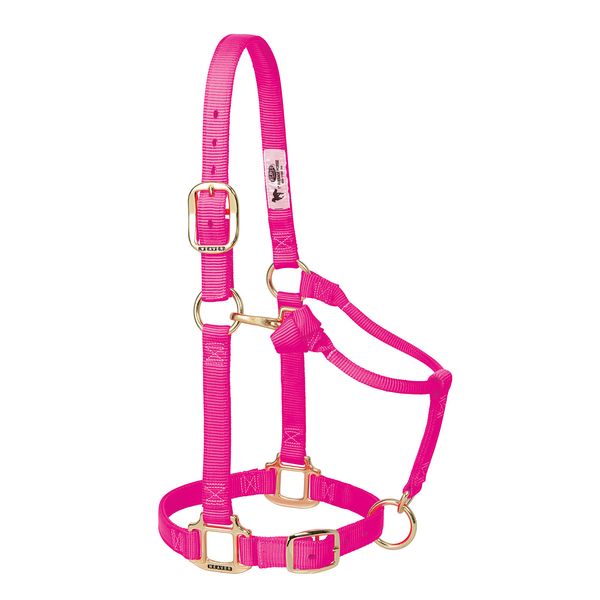 Weaver Leather Original Adjustable Nylon Horse Halter, Small Horse, Diva Pink