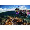 SCUBAPRO Spectra Snorkel (Clear/Blue)