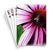 CafePress Purple Echinacea with Bee Standard Size Playing Cards