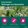 Contramutan Syrup 150 ml
