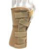 Champion Elastic Wrist Splint (Left, Small)