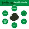 Sun Chlorella, Sun Chlorella A Powder, 30 Packets, 6 g Each