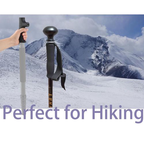 Rigdance Monopod Handle Grip + Trekking Pole Head Grip Knob with Compass for Hiking, Converted Monopod to a Cane Walking Stick