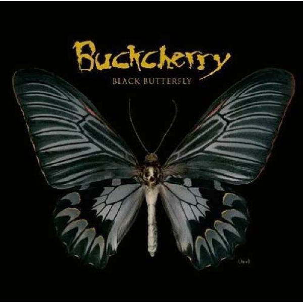 Black Butterfly