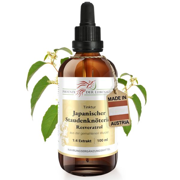 Japanese Knotweed Tincture - Natural Resveratrol, Polygonum cuspidatum Tincture with Extract Ratio 1:4, Premium Quality, Made in Austria, Dietary Supplement, Vegan