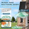 Smart Bird Feeder with 2K Camera AI Identify Bird Solar Panel APP Wi-Fi